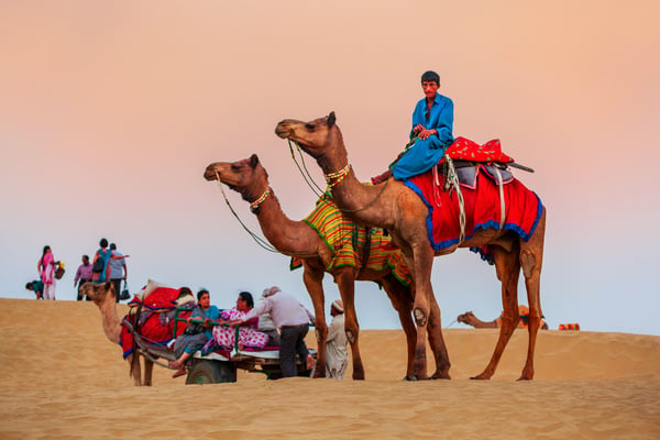 Camel Safari in Thar Desert, Jaisalmer